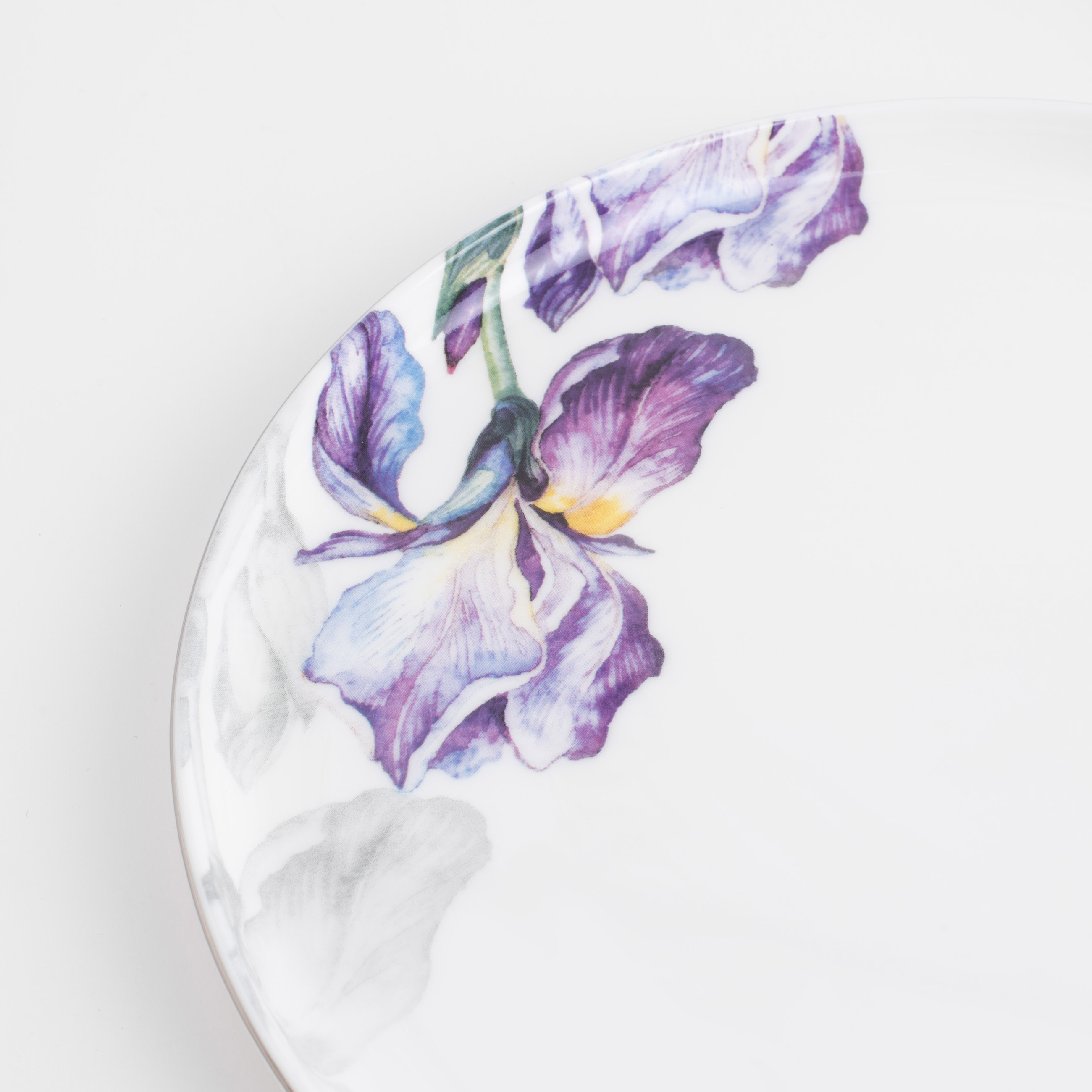 Тарелка закусочная, 24 см, 2 шт, фарфор F, с серебристым кантом, Ирисы, Antarctica Flowers