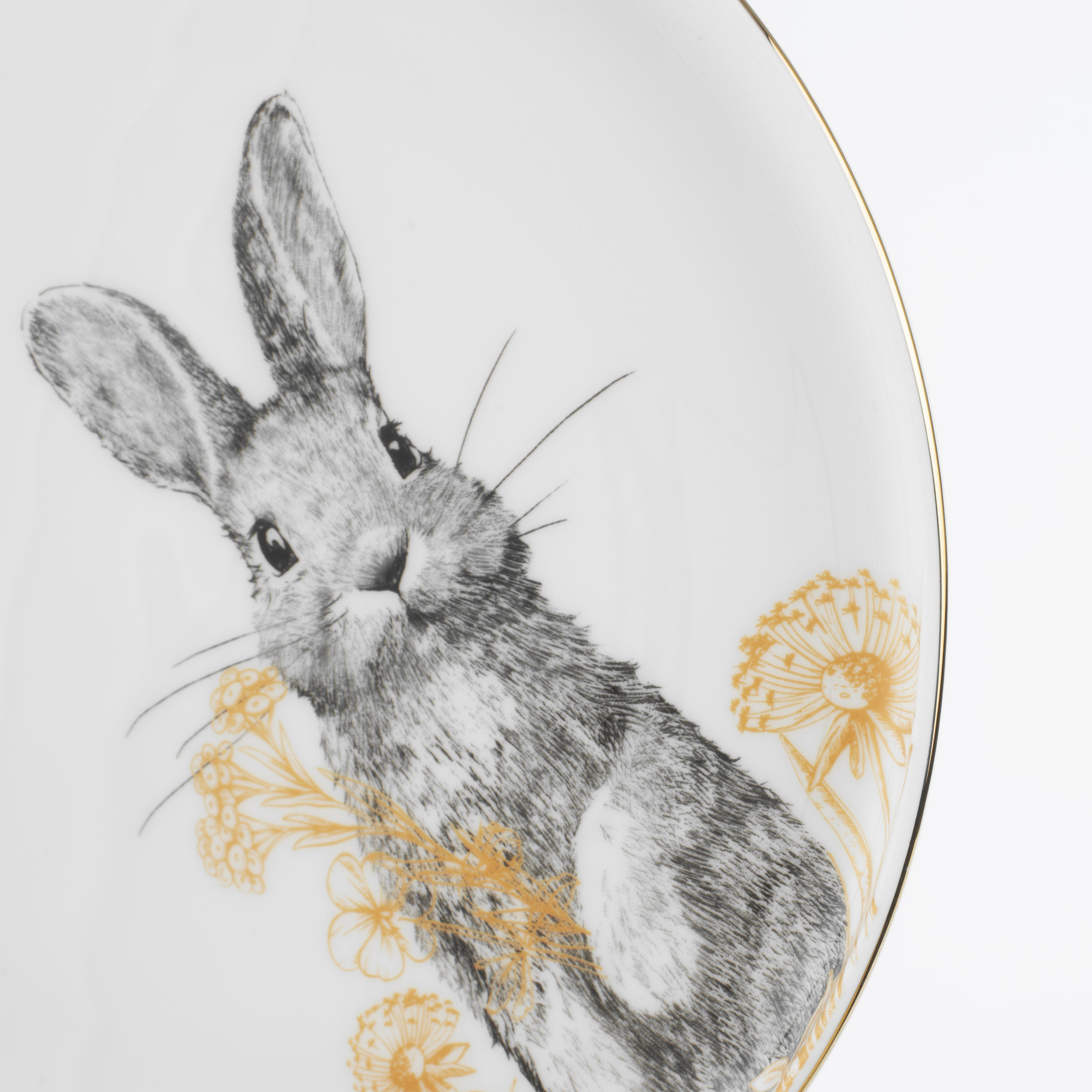 Тарелка закусочная, 24 см, фарфор F, белая, с золотистым кантом, Кролик с цветами, Rabbit gold изображение № 5