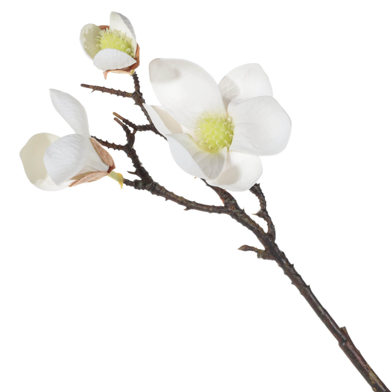 Ветка декоративная, 42 см, пластик/сталь, Белая магнолия, Magnolia декоративная подвеска
