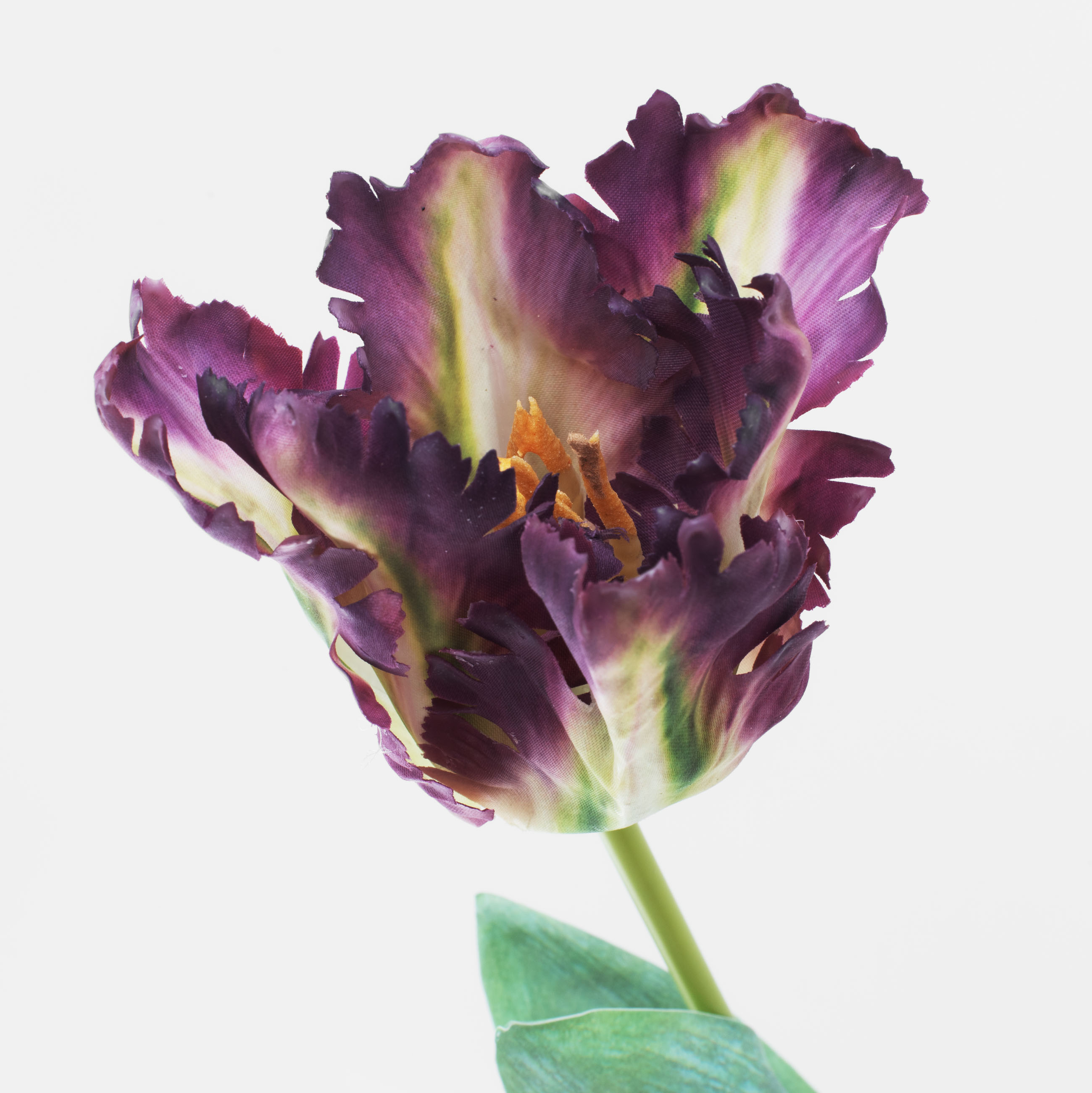 Цветок искусственный, 68 см, пластик/бумага, Тюльпан, Tulip garden изображение № 2