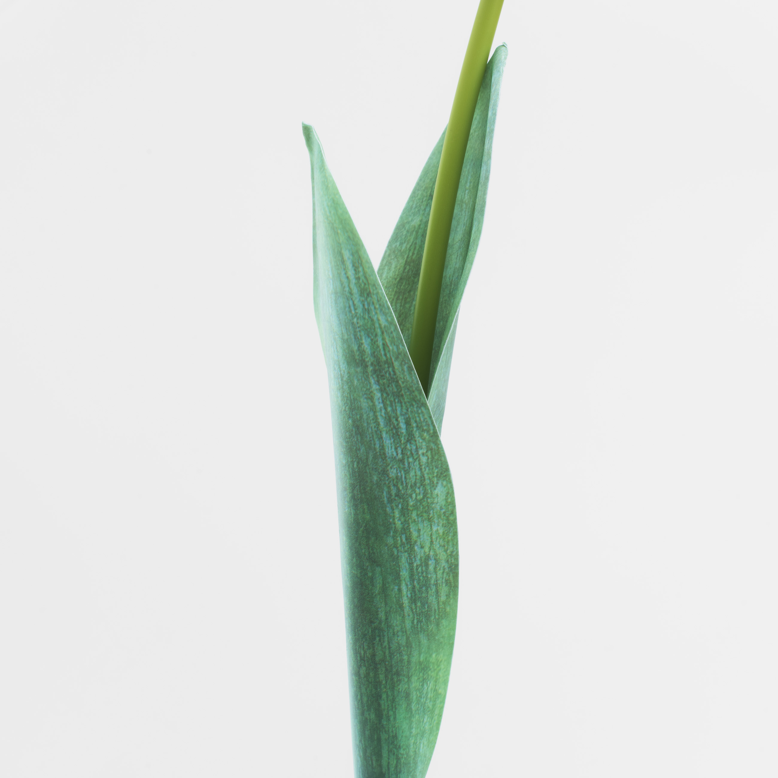 Цветок искусственный, 68 см, пластик/бумага, Тюльпан, Tulip garden изображение № 3