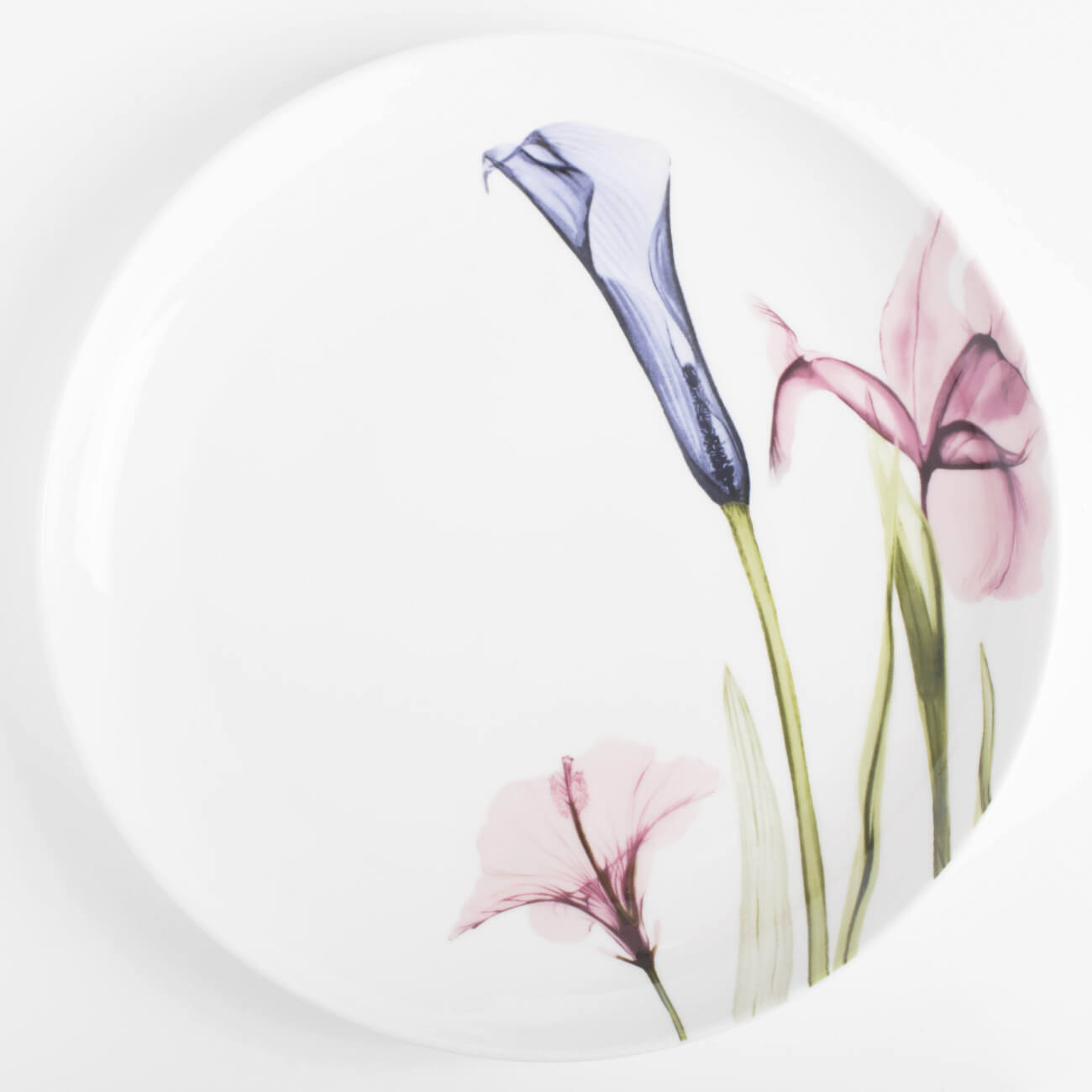Тарелка обеденная, 27 см, фарфор N, белая, Пастельные цветы, Pastel flowers
