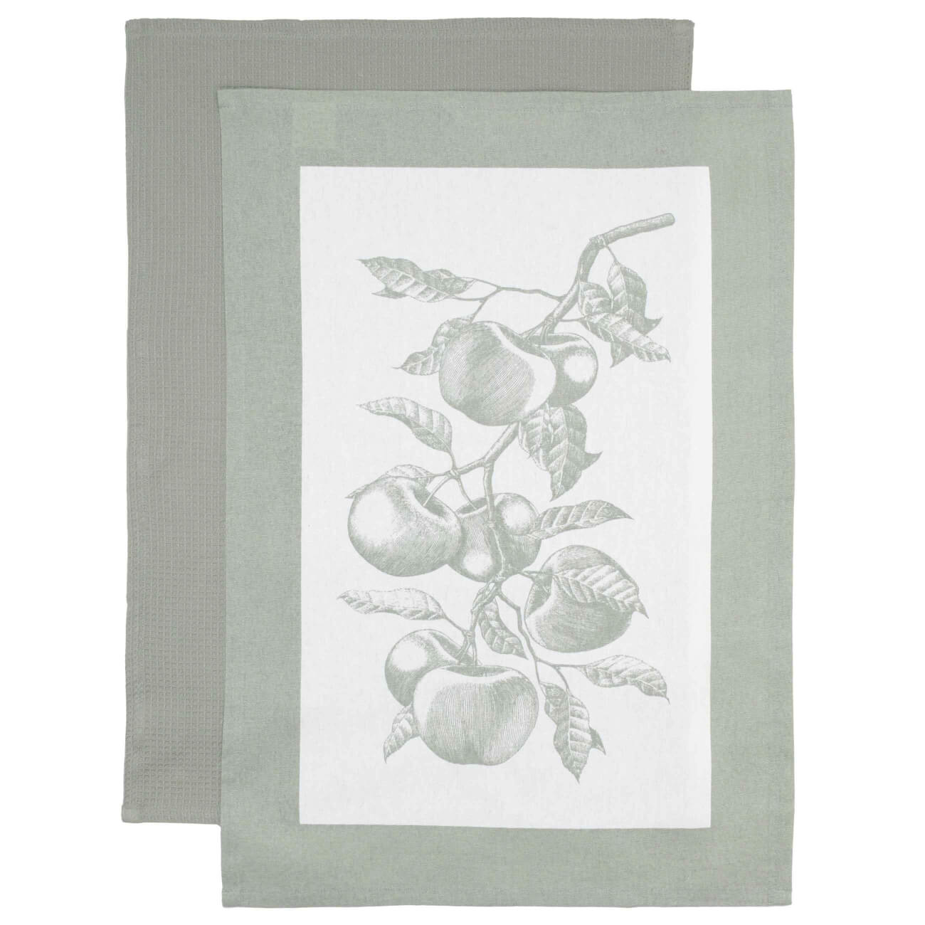 Полотенце кухонное, 40х60 см, 2 шт, хлопок, бежевое/зеленое, Яблочная ветвь, Apple garden