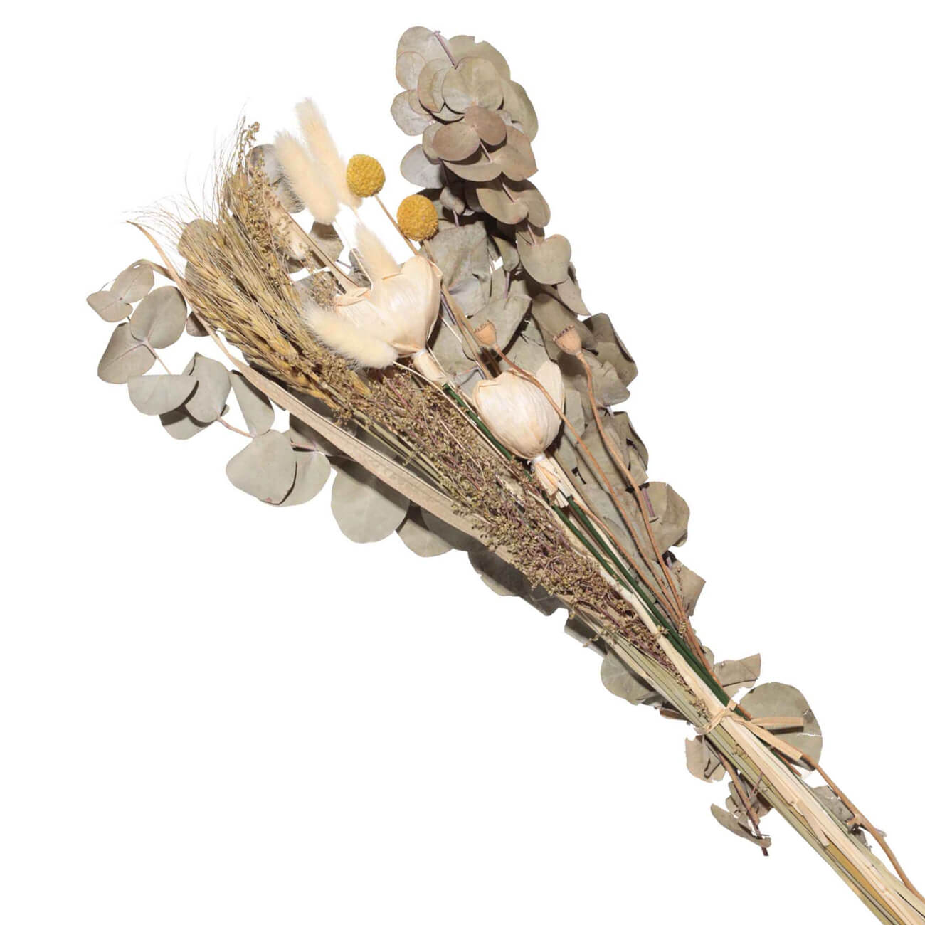 Букет декоративный, 62 см, в крафте, сухоцветы, Эвкалипт/Пшеница, Dried flower изображение № 1