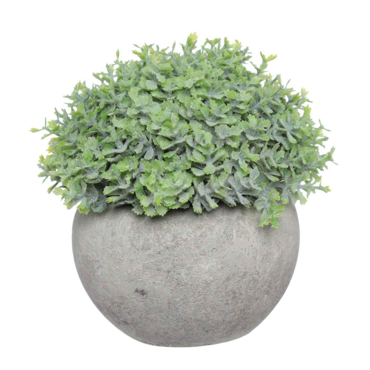 Растение искусственное, 16 см, в горшке, цемент/пластик, Pot garden laguna растение бордовое амбулия