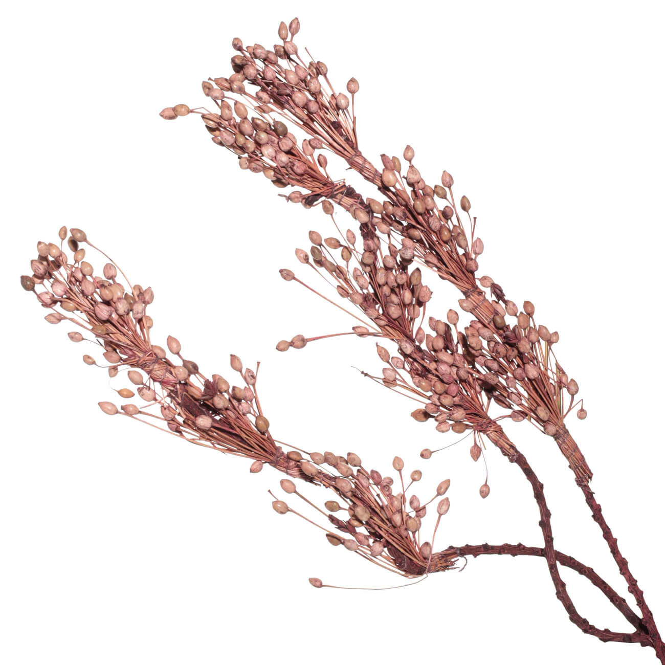 Ветка декоративная, 60 см, сухоцветы, Розовые плоды, Dried flower floral dried