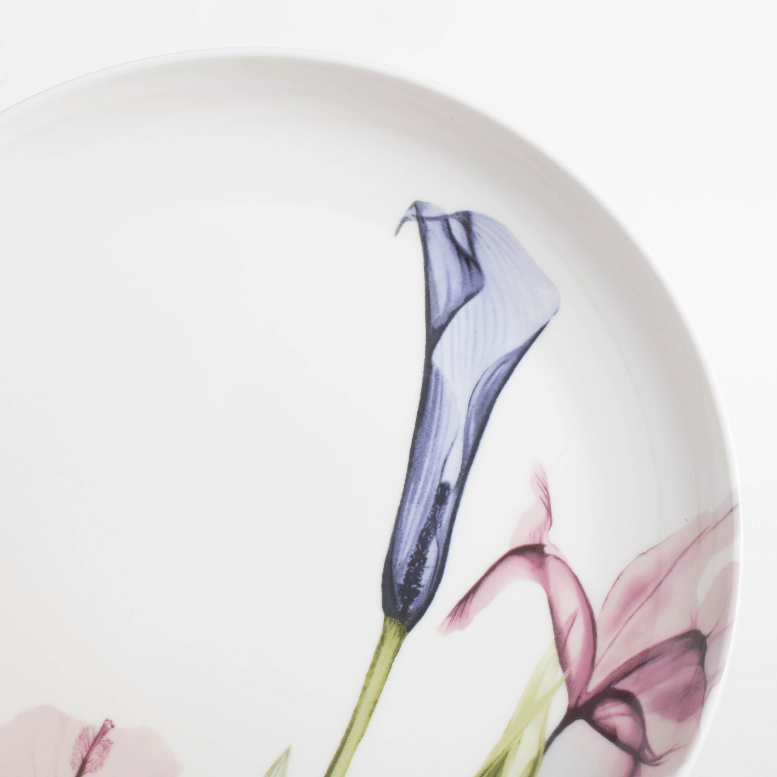 Тарелка обеденная, 27 см, фарфор N, белая, Пастельные цветы, Pastel flowers изображение № 5