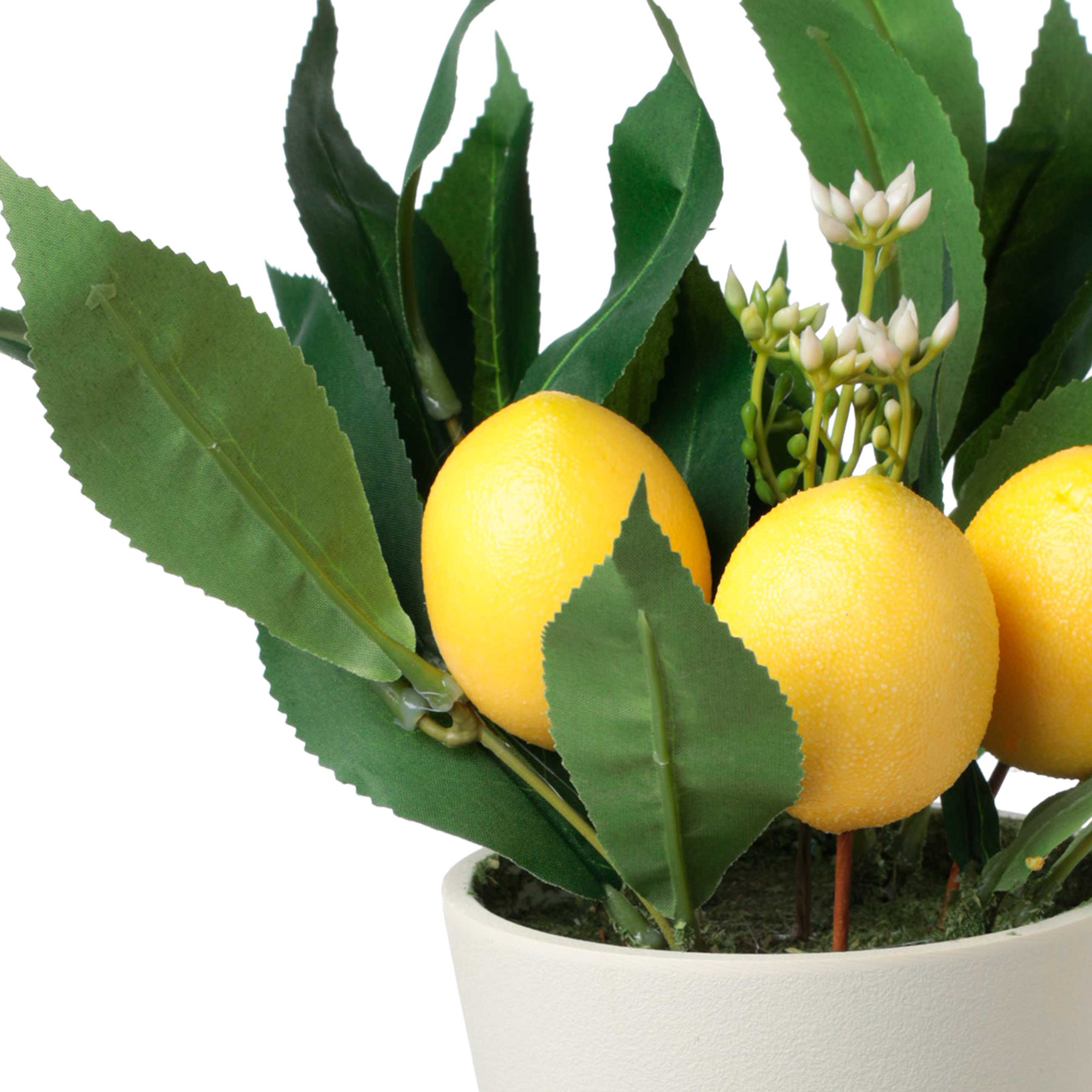 Растение искусственное, 28 см, в горшке, полиэстер/меламин, Лимоны, Pot garden изображение № 2