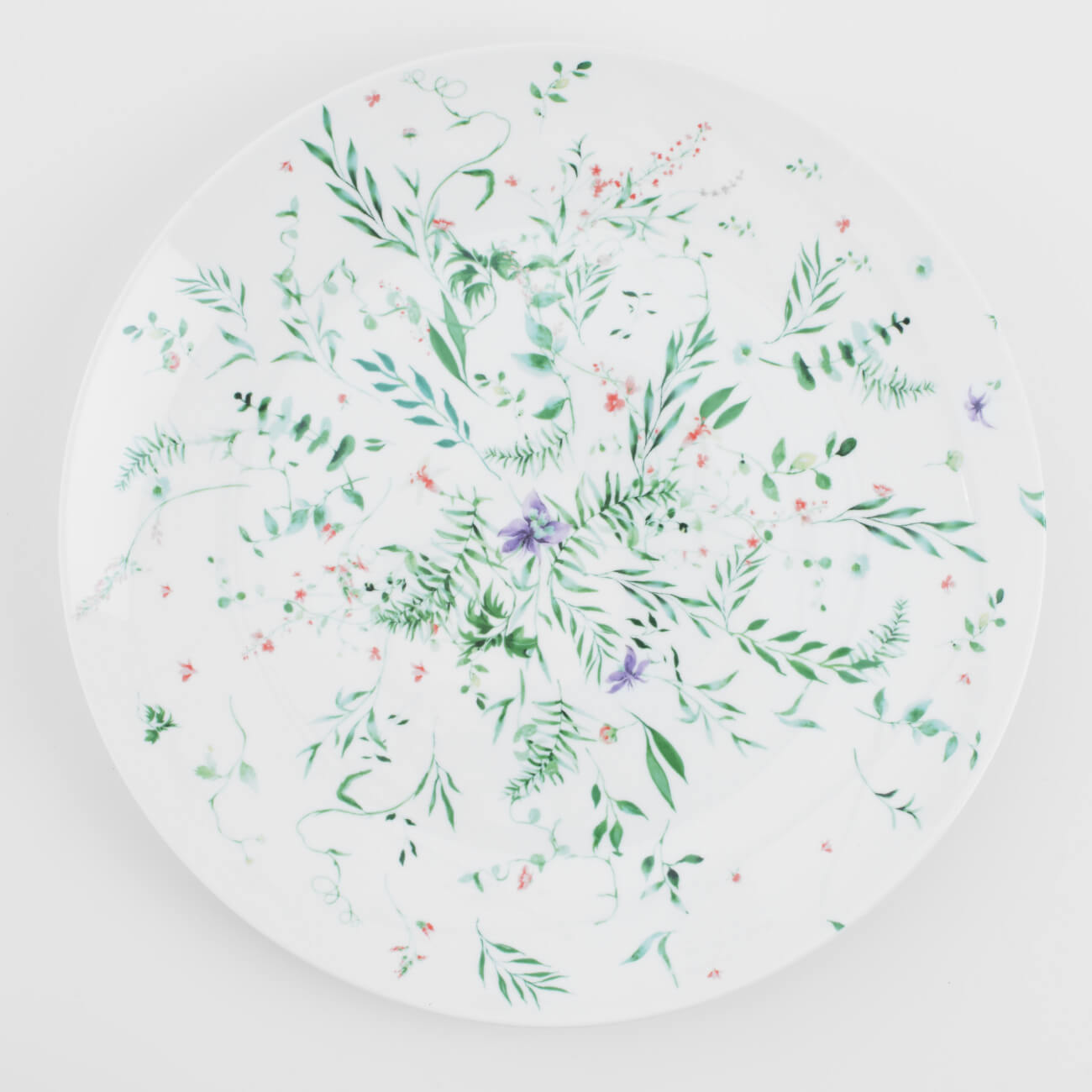 Тарелка обеденная, 27 см, фарфор N, Луговые цветы, Foliage - фото 1