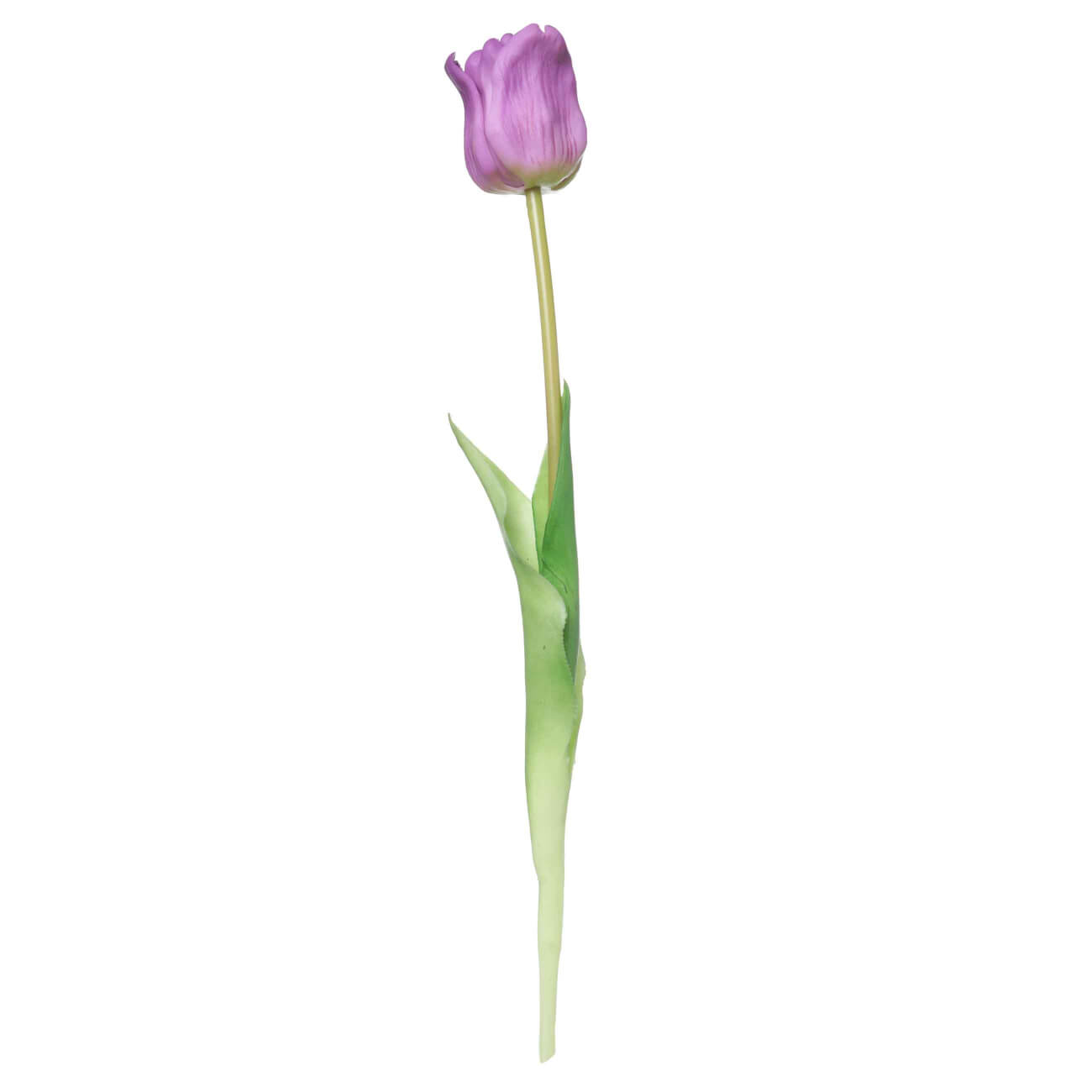 Цветок искусственный, 47 см, ТЭП, лиловый, Тюльпан, Tulip garden
