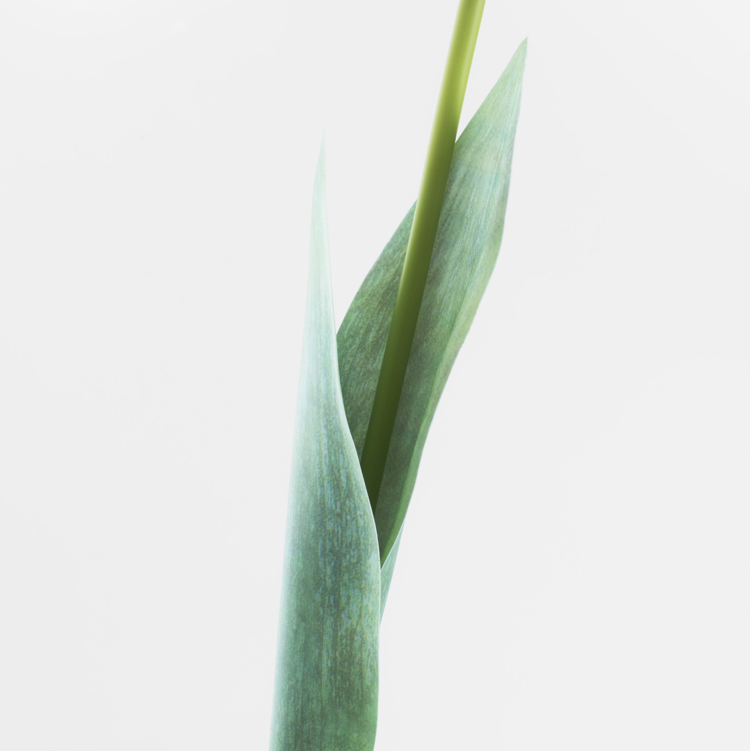Цветок искусственный, 68 см, пластик/бумага, белый, Тюльпан, Tulip garden изображение № 4