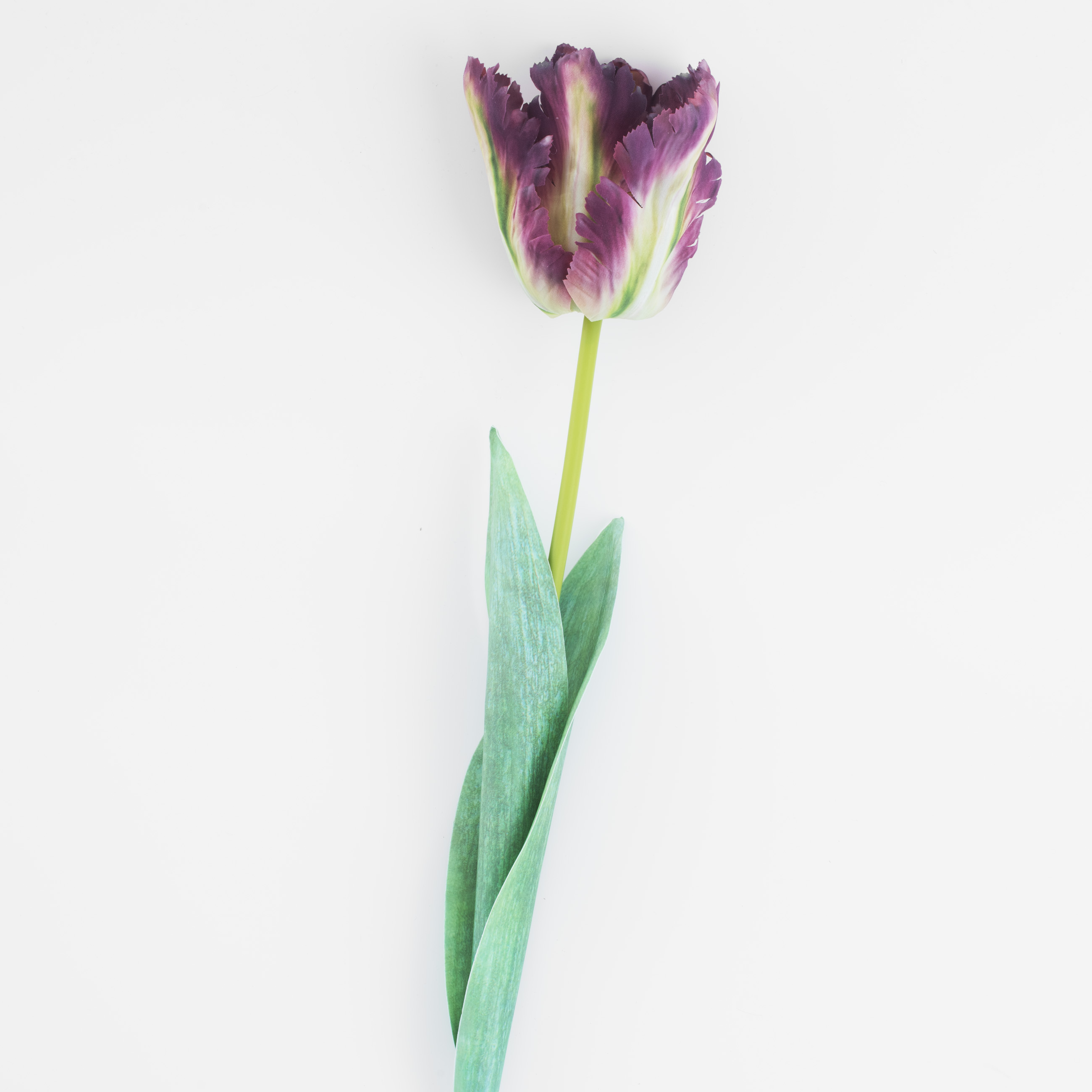 Цветок искусственный, 68 см, пластик/бумага, Тюльпан, Tulip garden изображение № 4