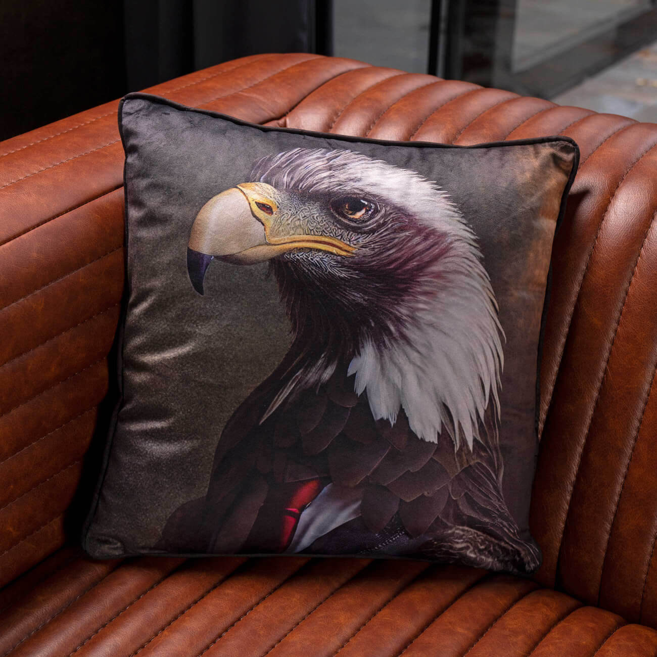 Подушка декоративная, 40х40, вельвет, черная, Орел, Eagle римский орел орел завоеватель